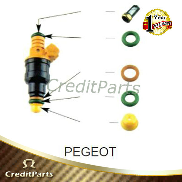 Peugeot Fuel Injector Service Kits CF-019